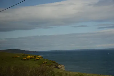 DSC_7261 (Large).JPG